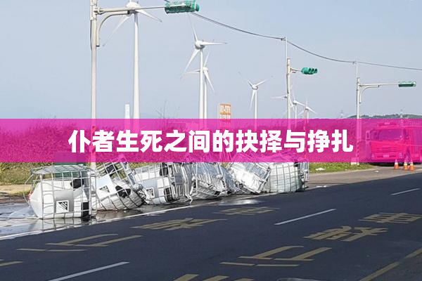 仆者生死之间的抉择与挣扎