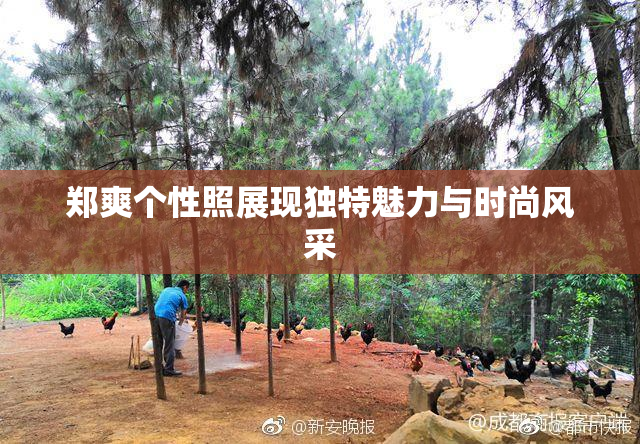 郑爽个性照展现独特魅力与时尚风采