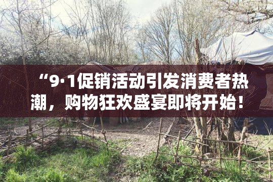 “9·1促销活动引发消费者热潮，购物狂欢盛宴即将开始！”