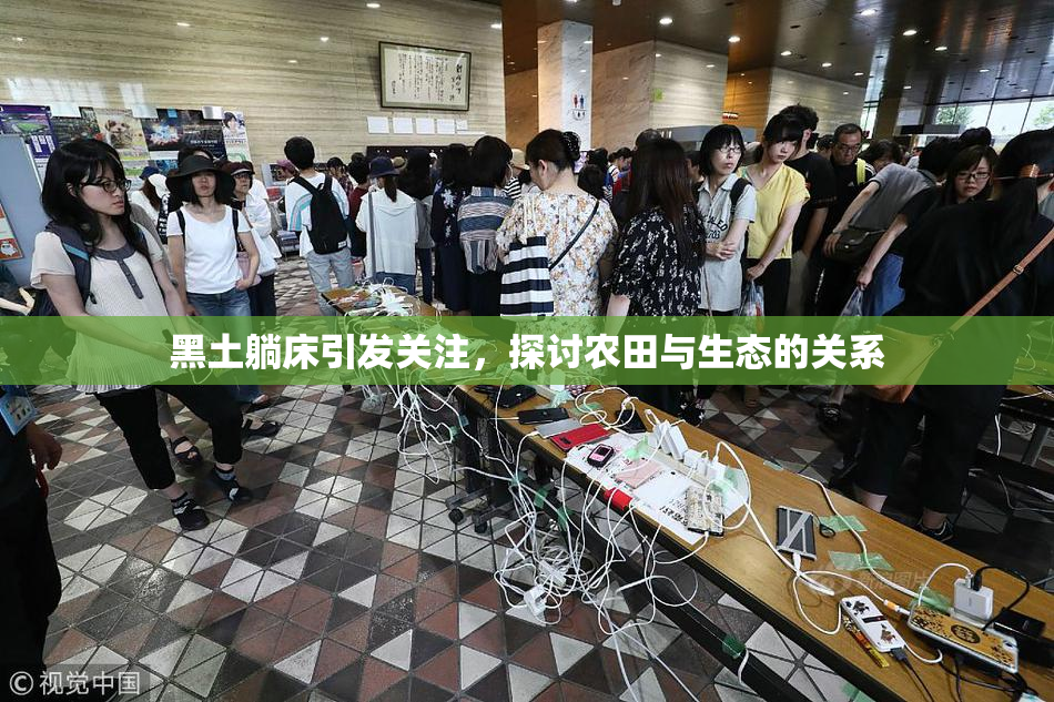 黑土躺床引发关注，探讨农田与生态的关系