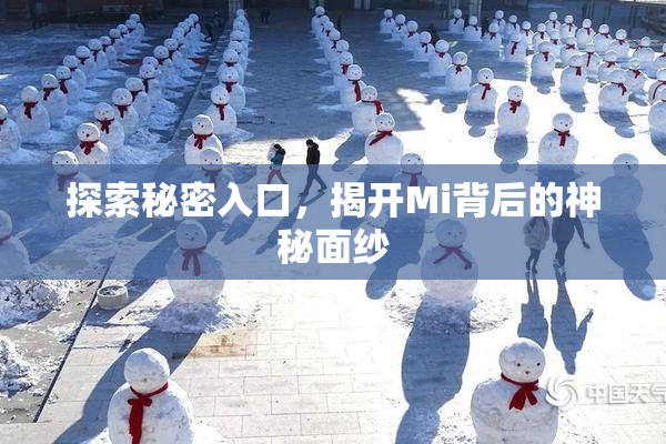 探索秘密入口，揭开Mi背后的神秘面纱