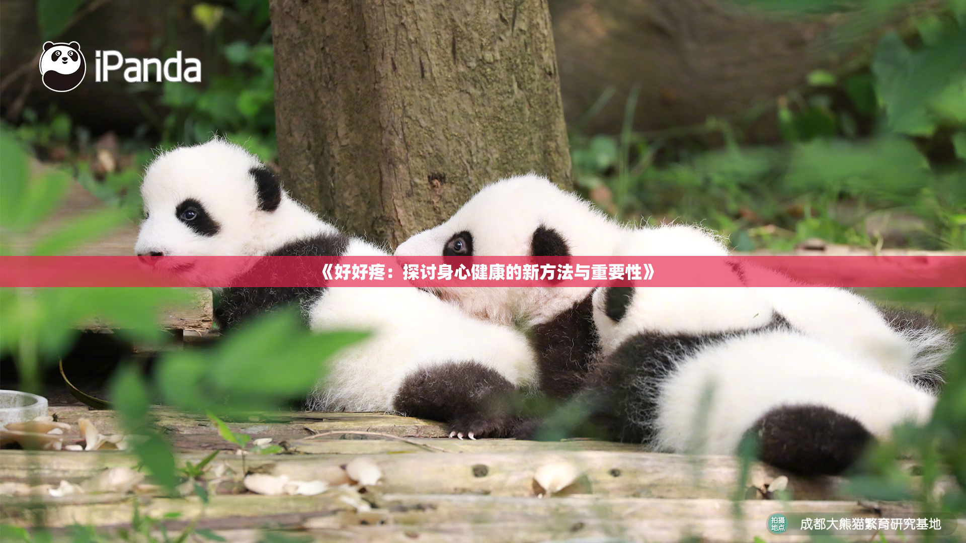 《好好疼：探讨身心健康的新方法与重要性》