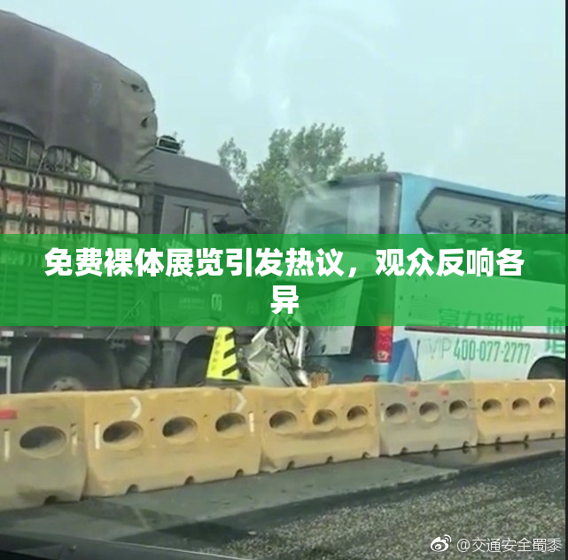 免费裸体展览引发热议，观众反响各异