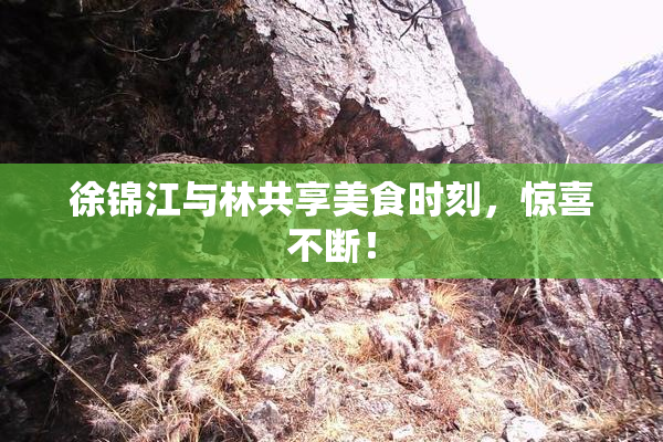 徐锦江与林共享美食时刻，惊喜不断！