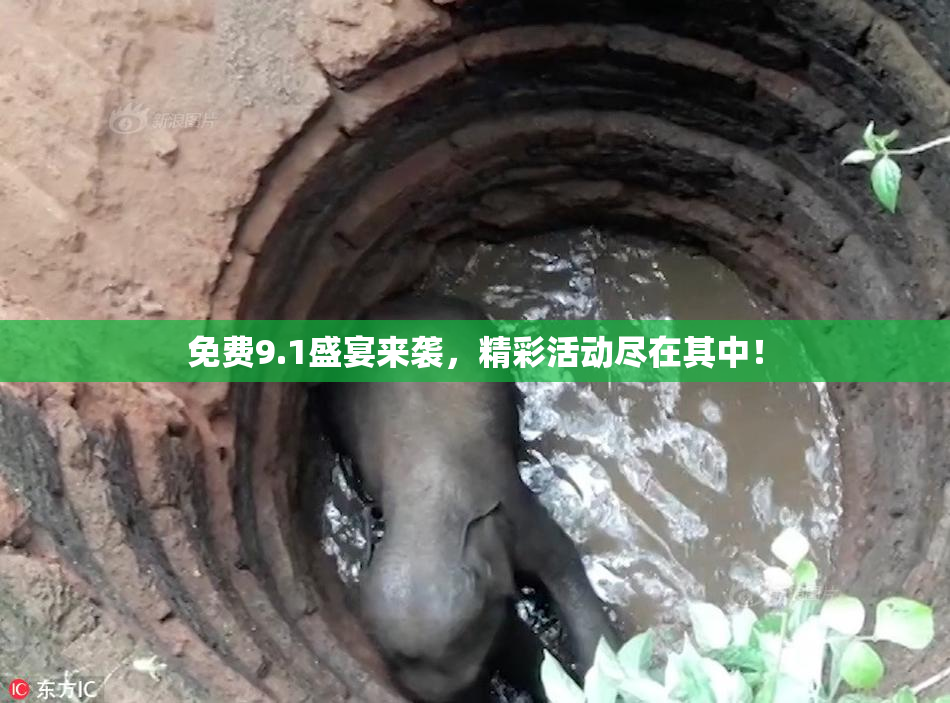 免费9.1盛宴来袭，精彩活动尽在其中！