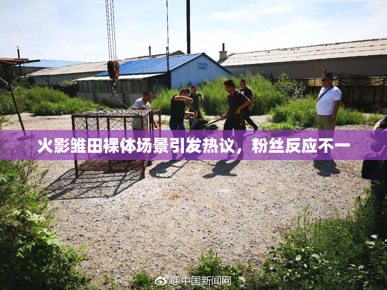 火影雏田裸体场景引发热议，粉丝反应不一
