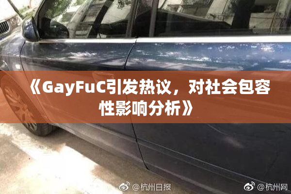 《GayFuC引发热议，对社会包容性影响分析》