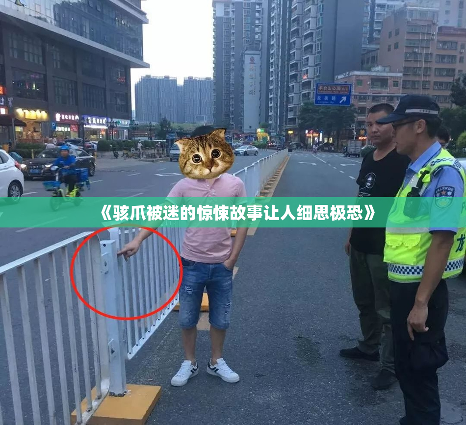 《骇爪被迷的惊悚故事让人细思极恐》