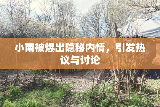 小南被爆出隐秘内情，引发热议与讨论