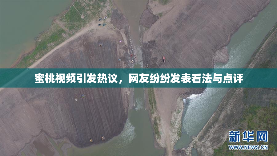 蜜桃视频引发热议，网友纷纷发表看法与点评