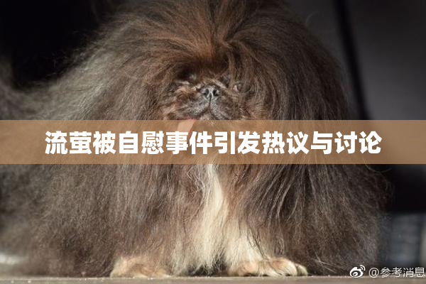 流萤被自慰事件引发热议与讨论