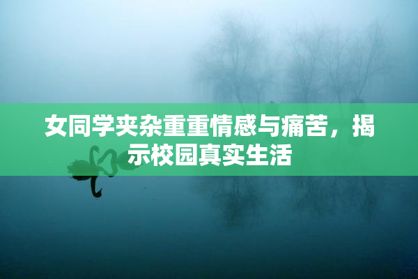 女同学夹杂重重情感与痛苦，揭示校园真实生活