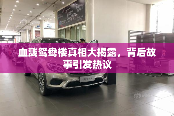 血溅鸳鸯楼真相大揭露，背后故事引发热议