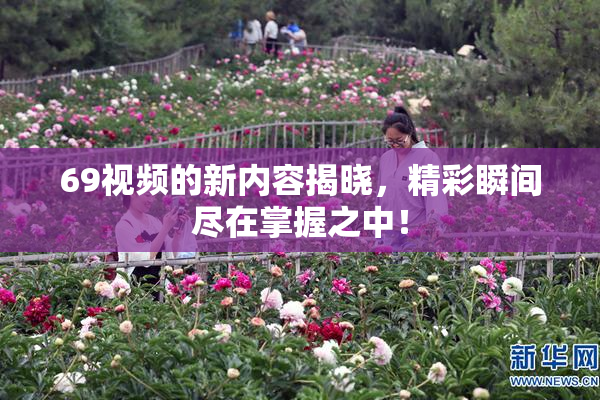 69视频的新内容揭晓，精彩瞬间尽在掌握之中！