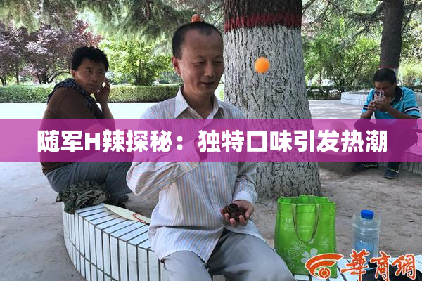 随军H辣探秘：独特口味引发热潮