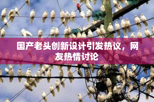 国产老头创新设计引发热议，网友热情讨论