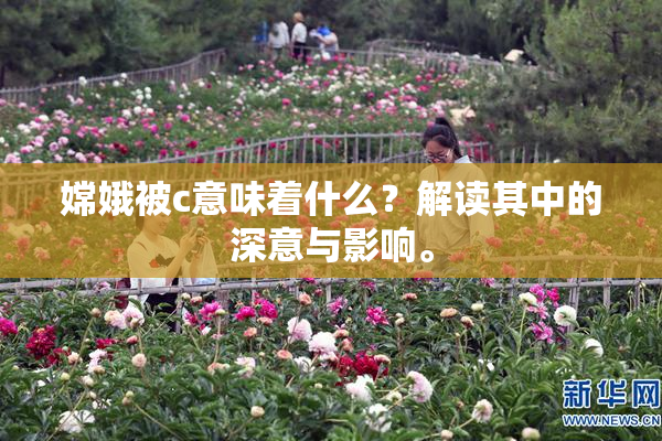 嫦娥被c意味着什么？解读其中的深意与影响。