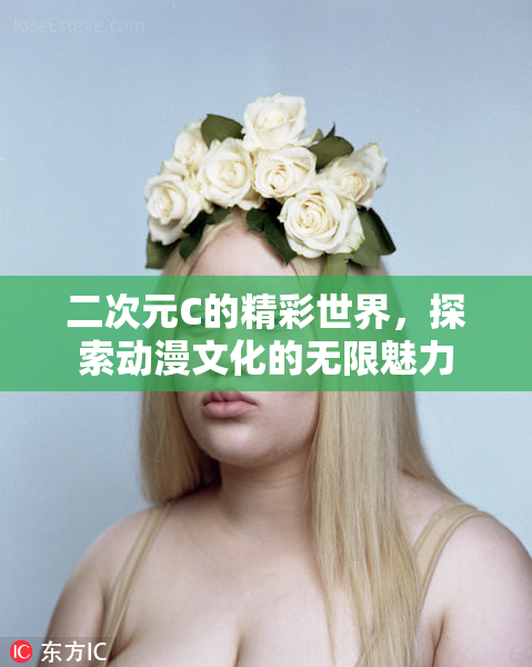 二次元C的精彩世界，探索动漫文化的无限魅力