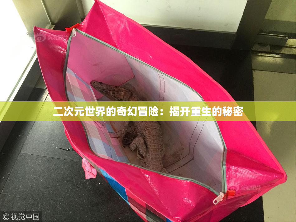 二次元世界的奇幻冒险：揭开重生的秘密