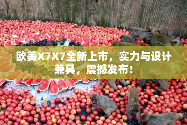 欧美X7X7全新上市，实力与设计兼具，震撼发布！