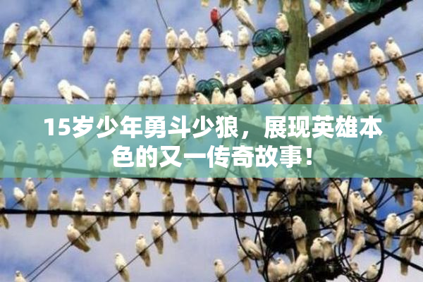 15岁少年勇斗少狼，展现英雄本色的又一传奇故事！