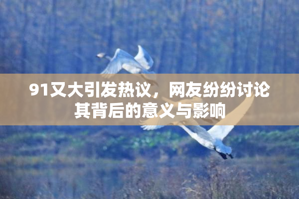 91又大引发热议，网友纷纷讨论其背后的意义与影响