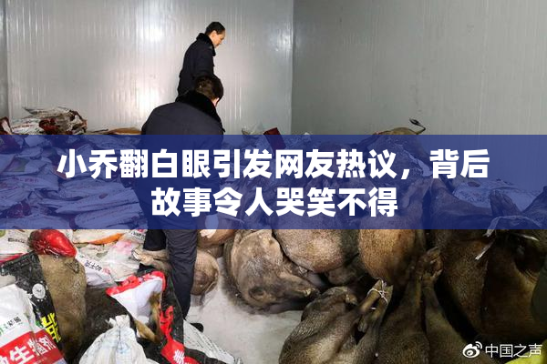 小乔翻白眼引发网友热议，背后故事令人哭笑不得