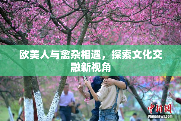 欧美人与禽杂相遇，探索文化交融新视角