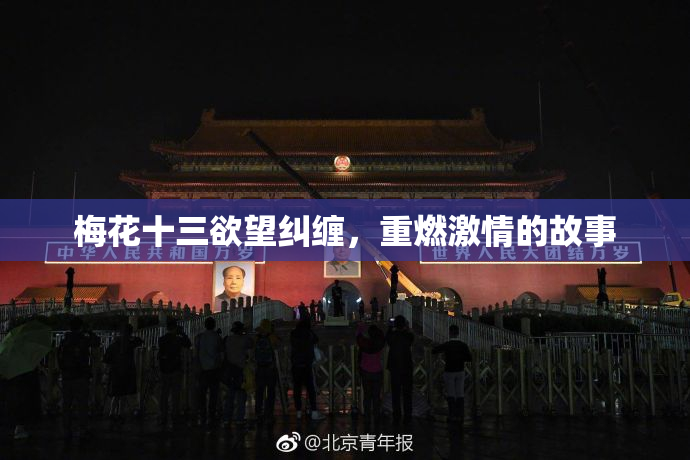 梅花十三欲望纠缠，重燃激情的故事