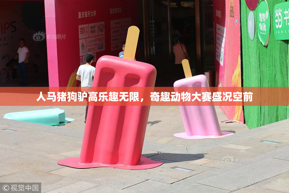 人马猪狗驴高乐趣无限，奇趣动物大赛盛况空前