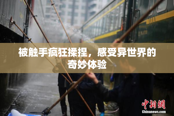 被触手疯狂揉捏，感受异世界的奇妙体验