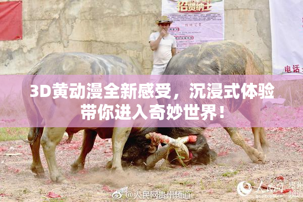 3D黄动漫全新感受，沉浸式体验带你进入奇妙世界！