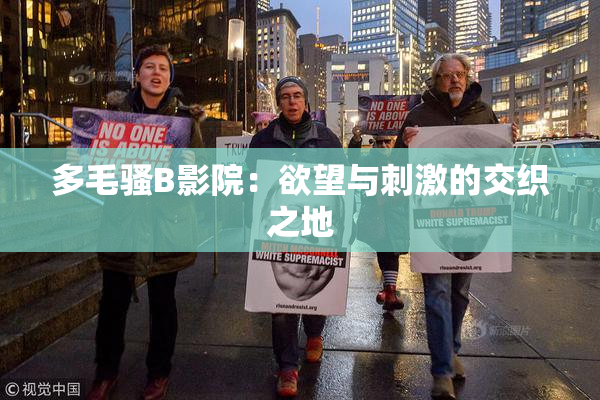 多毛骚B影院：欲望与刺激的交织之地