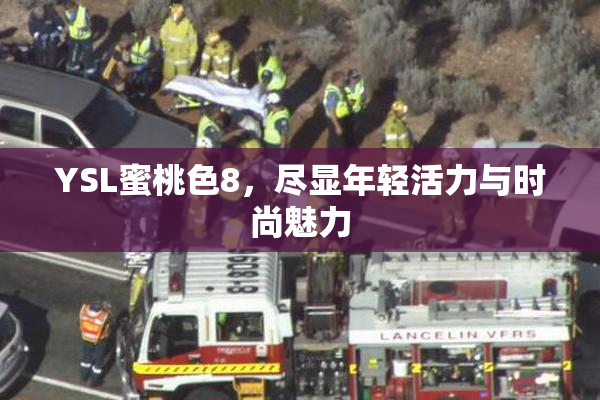 YSL蜜桃色8，尽显年轻活力与时尚魅力