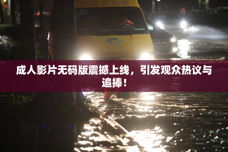 成人影片无码版震撼上线，引发观众热议与追捧！