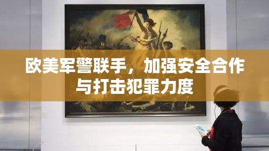 欧美军警联手，加强安全合作与打击犯罪力度