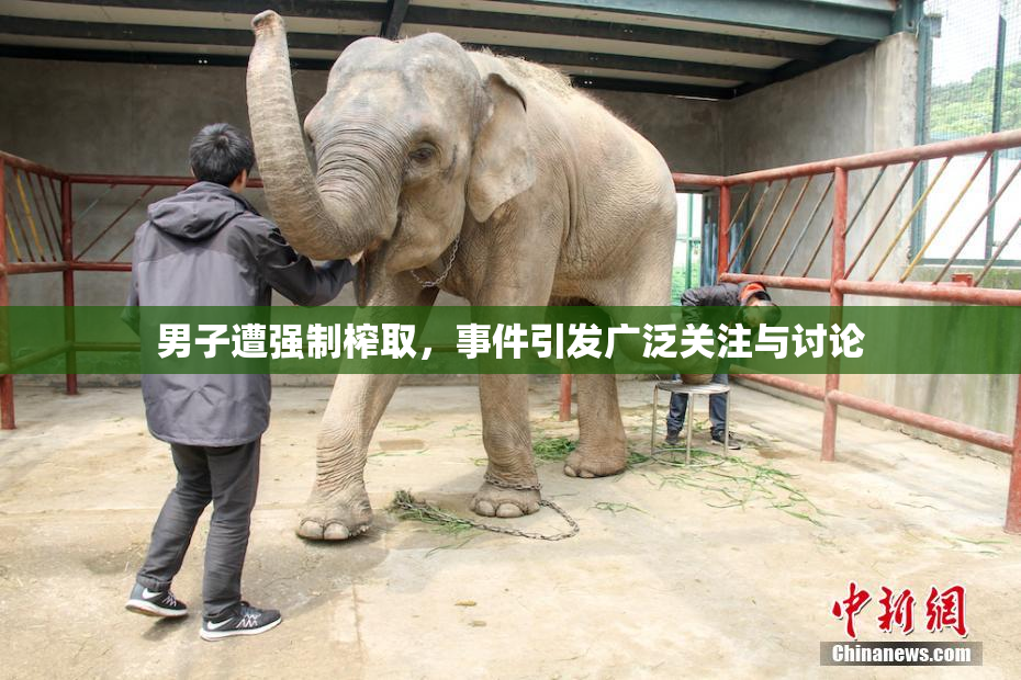 男子遭强制榨取，事件引发广泛关注与讨论