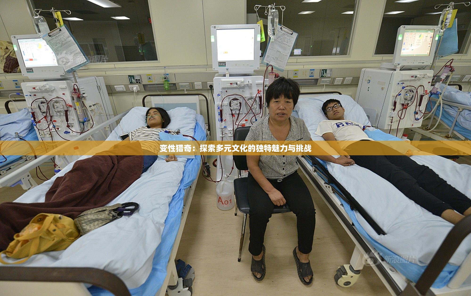 变性猎奇：探索多元文化的独特魅力与挑战