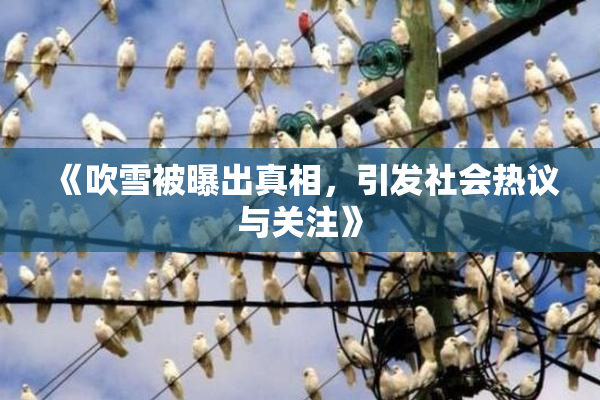 《吹雪被曝出真相，引发社会热议与关注》