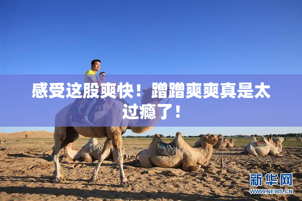 感受这股爽快！蹭蹭爽爽真是太过瘾了！