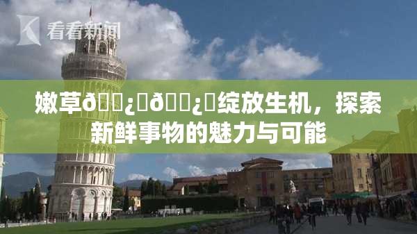 嫩草🌿‌🌿‌绽放生机，探索新鲜事物的魅力与可能