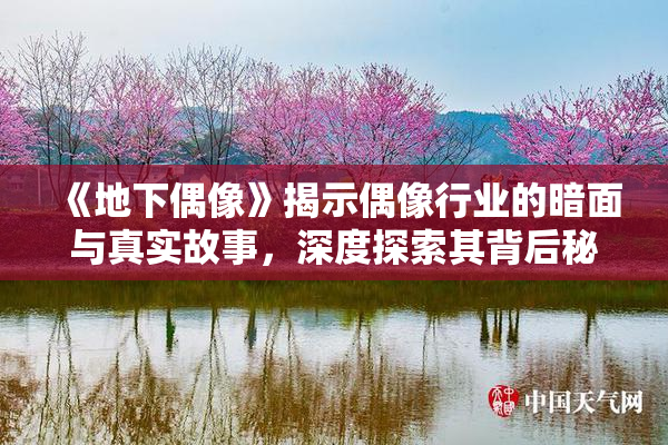 《地下偶像》揭示偶像行业的暗面与真实故事，深度探索其背后秘密