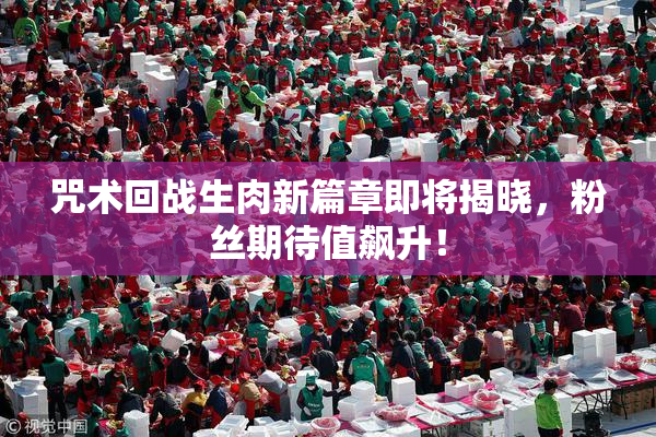 咒术回战生肉新篇章即将揭晓，粉丝期待值飙升！