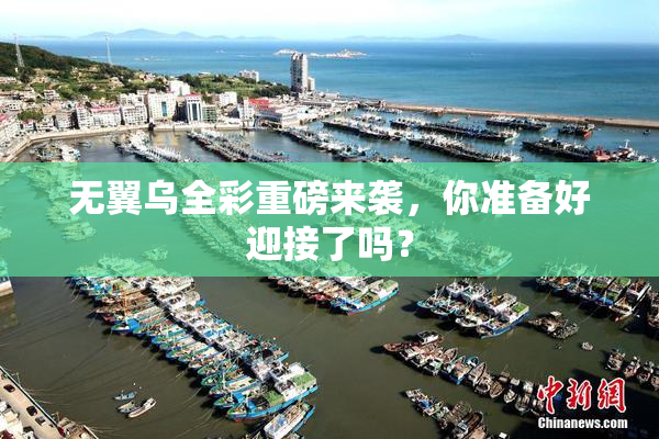无翼乌全彩重磅来袭，你准备好迎接了吗？