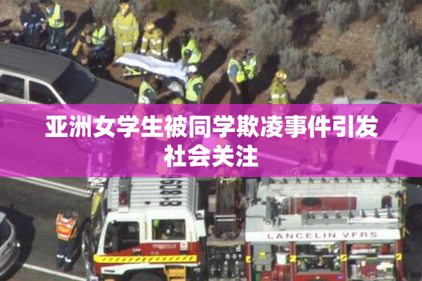 亚洲女学生被同学欺凌事件引发社会关注