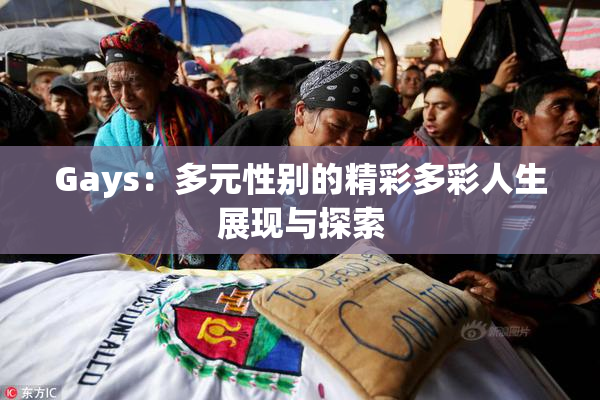 Gays：多元性别的精彩多彩人生展现与探索
