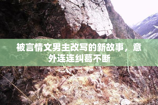 被言情文男主改写的新故事，意外连连纠葛不断