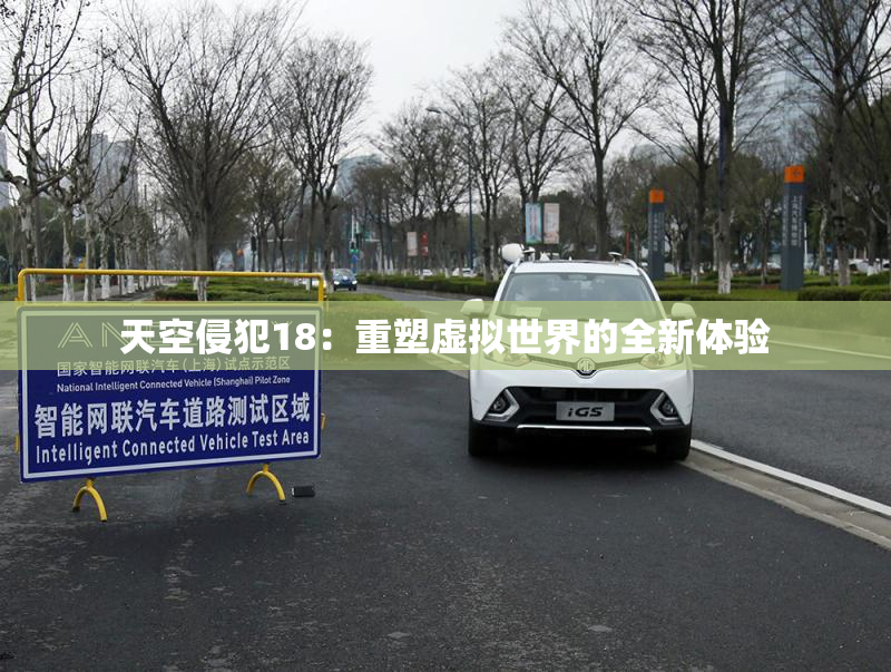 天空侵犯18：重塑虚拟世界的全新体验
