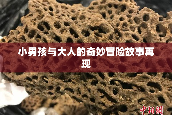 小男孩与大人的奇妙冒险故事再现