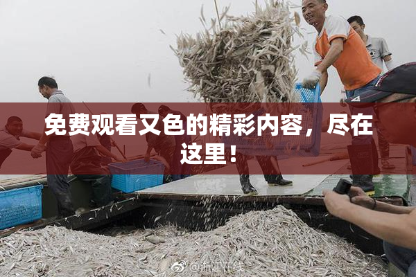 免费观看又色的精彩内容，尽在这里！